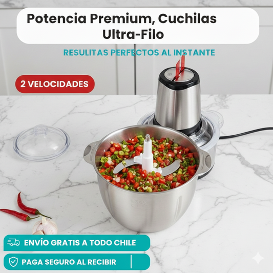 PICADORA ELECTRICA DOS VELOCIDADES