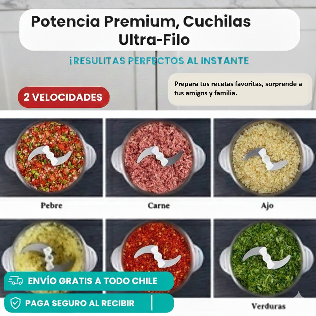 PICADORA ELECTRICA DOS VELOCIDADES